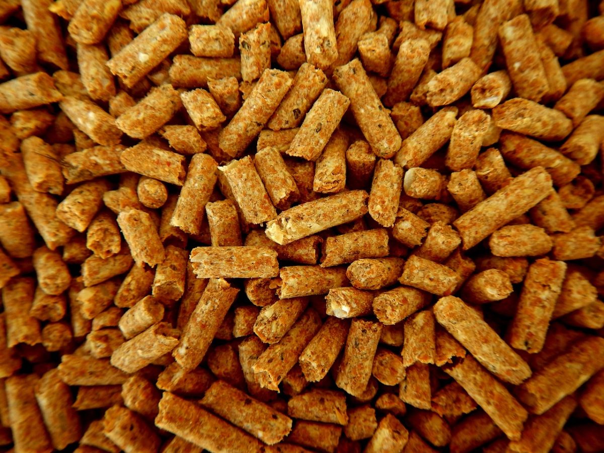 Granulés ou pellets utilisés pour les poêles à granulés