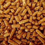 Brûler des pellets de bonne qualité